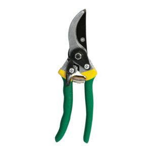 LASHER SECATEUR