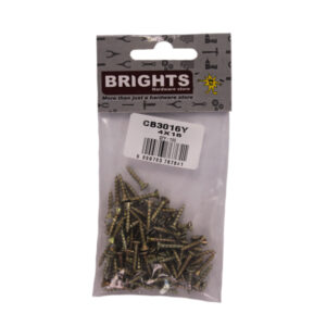 CHIPBOARD SCREWS 4MM X 16MM (100)