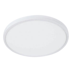 Bright Star 38W LED Ceiling Light